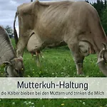 Biohof Burger, 3 Sonnige Fewo, Alle Mit Balkon, Spielzimmer, Grillhuette, 7 Km Vor Oberstdorf Vakantieboerderij *