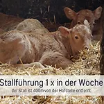 Vakantieboerderij Biohof Burger, 3 Sonnige Fewo, Alle Mit Balkon, Spielzimmer, Grillhuette, 7 Km Vor Oberstdorf *