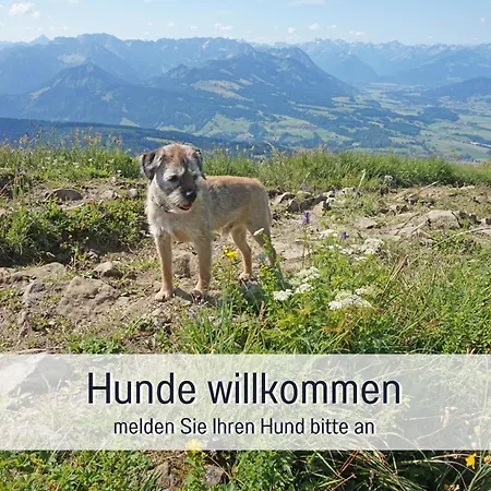 Biohof Burger, 3 Sonnige Fewo, Alle Mit Balkon, Spielzimmer, Grillhuette, 7 Km Vor Oberstdorf 팜스테이