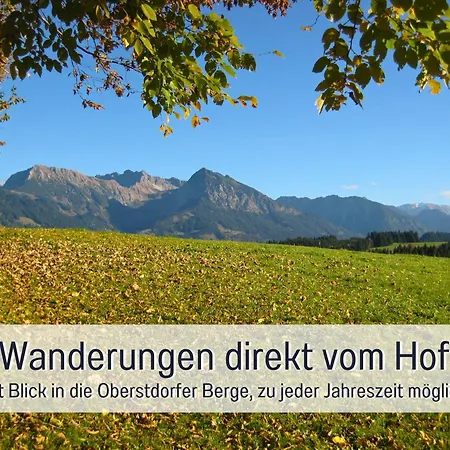 Biohof Burger, 3 Sonnige Fewo, Alle Mit Balkon, Spielzimmer, Grillhuette, 7 Km Vor Oberstdorf Bolsterlang