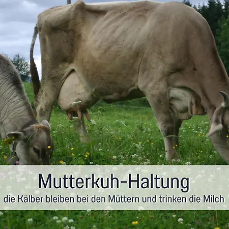 Biohof Burger, 3 Sonnige Fewo, Alle Mit Balkon, Spielzimmer, Grillhuette, 7 Km Vor Oberstdorf 팜스테이 *
