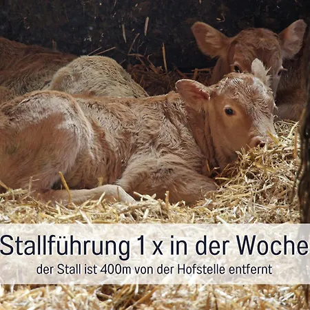 Farma Biohof Burger, 3 Sonnige Fewo, Alle Mit Balkon, Spielzimmer, Grillhuette, 7 Km Vor Oberstdorf *