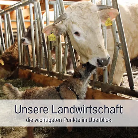 Biohof Burger, 3 Sonnige Fewo, Alle Mit Balkon, Spielzimmer, Grillhuette, 7 Km Vor Oberstdorf Farm stay