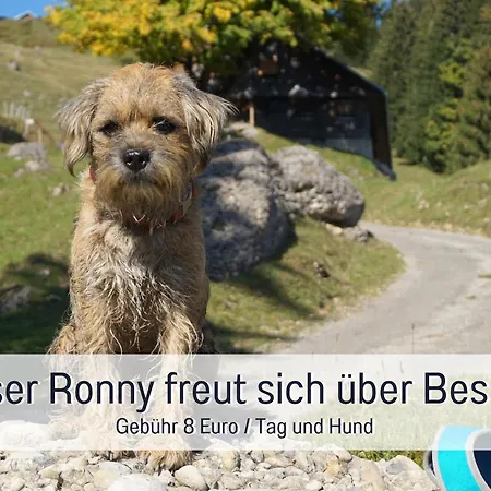 Biohof Burger, 3 Sonnige Fewo, Alle Mit Balkon, Spielzimmer, Grillhuette, 7 Km Vor Oberstdorf 팜스테이 *