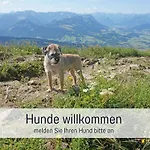 Biohof Burger, 3 Sonnige Fewo, Alle Mit Balkon, Spielzimmer, Grillhütte, 7 Km Vor Oberstdorf Bauernhof