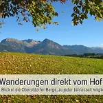 Biohof Burger, 3 Sonnige Fewo, Alle Mit Balkon, Spielzimmer, Grillhütte, 7 Km Vor Oberstdorf Bolsterlang