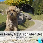 Biohof Burger, 3 Sonnige Fewo, Alle Mit Balkon, Spielzimmer, Grillhuette, 7 Km Vor Oberstdorf Κατάλυμα σε φάρμα *