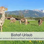 Κατάλυμα σε φάρμα Biohof Burger, 3 Sonnige Fewo, Alle Mit Balkon, Spielzimmer, Grillhuette, 7 Km Vor Oberstdorf Bolsterlang
