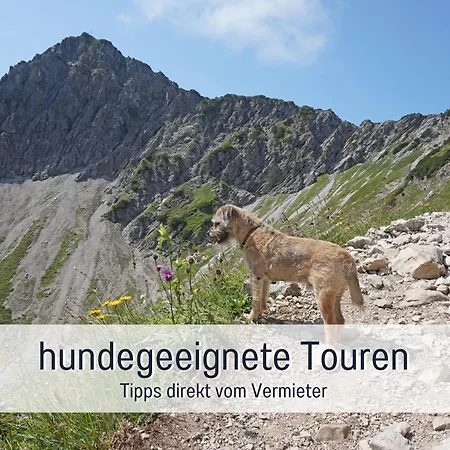 Biohof Burger, 3 Sonnige Fewo, Alle Mit Balkon, Spielzimmer, Grillhuette, 7 Km Vor Oberstdorf