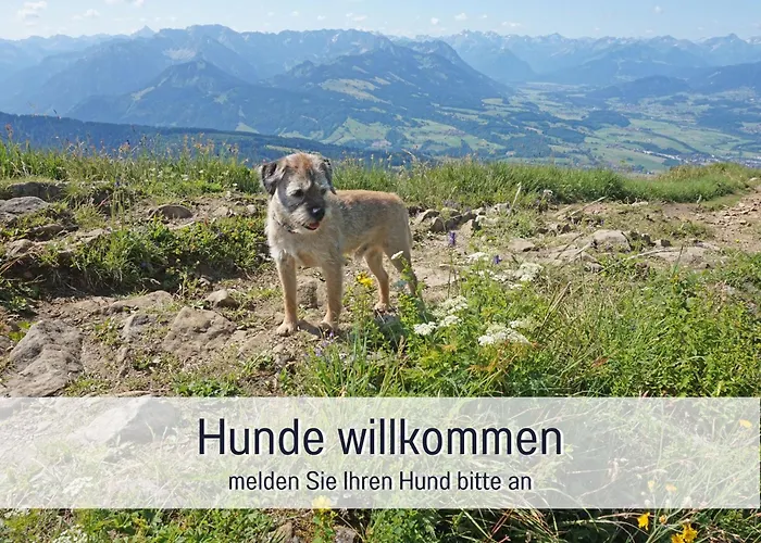Biohof Burger, 3 Sonnige Fewo, Alle Mit Balkon, Spielzimmer, Grillhuette, 7 Km Vor Oberstdorf Lantgård