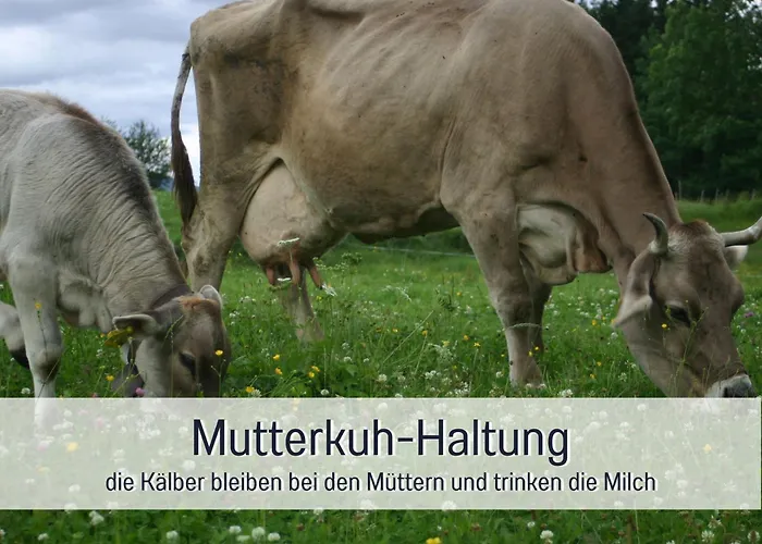 Biohof Burger, 3 Sonnige Fewo, Alle Mit Balkon, Spielzimmer, Grillhuette, 7 Km Vor Oberstdorf Lantgård *