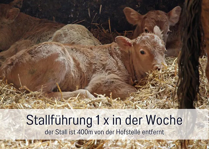 Lantgård Biohof Burger, 3 Sonnige Fewo, Alle Mit Balkon, Spielzimmer, Grillhuette, 7 Km Vor Oberstdorf *