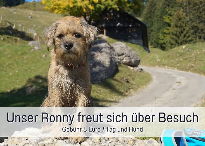 Biohof Burger, 3 Sonnige Fewo, Alle Mit Balkon, Spielzimmer, Grillhuette, 7 Km Vor Oberstdorf Lantgård *