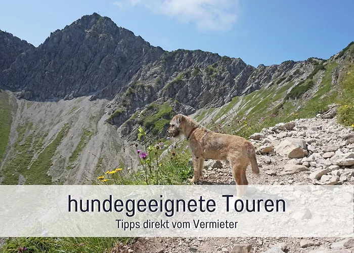 Biohof Burger, 3 Sonnige Fewo, Alle Mit Balkon, Spielzimmer, Grillhütte, 7 Km Vor Oberstdorf