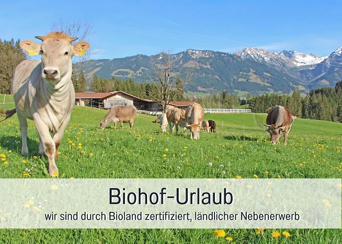 Lantgård Biohof Burger, 3 Sonnige Fewo, Alle Mit Balkon, Spielzimmer, Grillhuette, 7 Km Vor Oberstdorf Bolsterlang